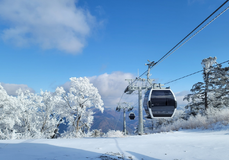 가리왕산 케이블카