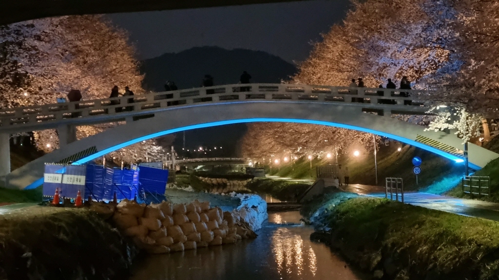 양재천벚꽃축제