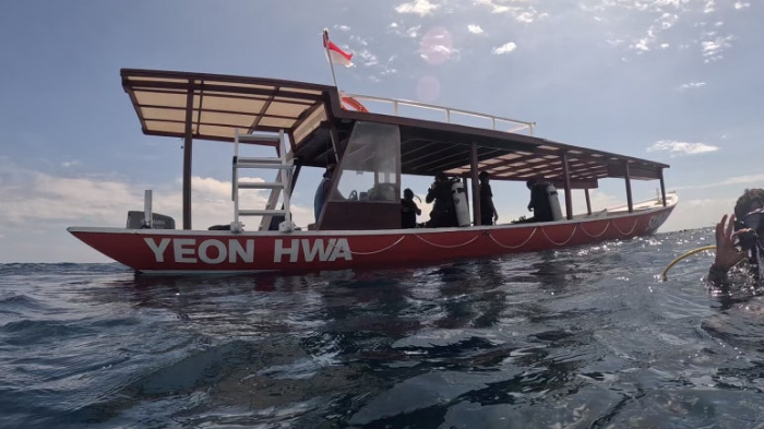 선샤인다이브 보트