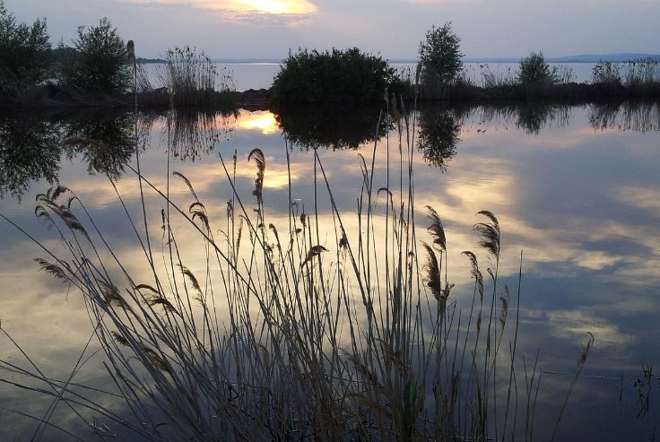 디지털 시대와 수면 건강