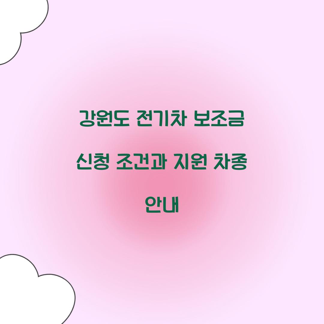 강원도 전기차 보조금