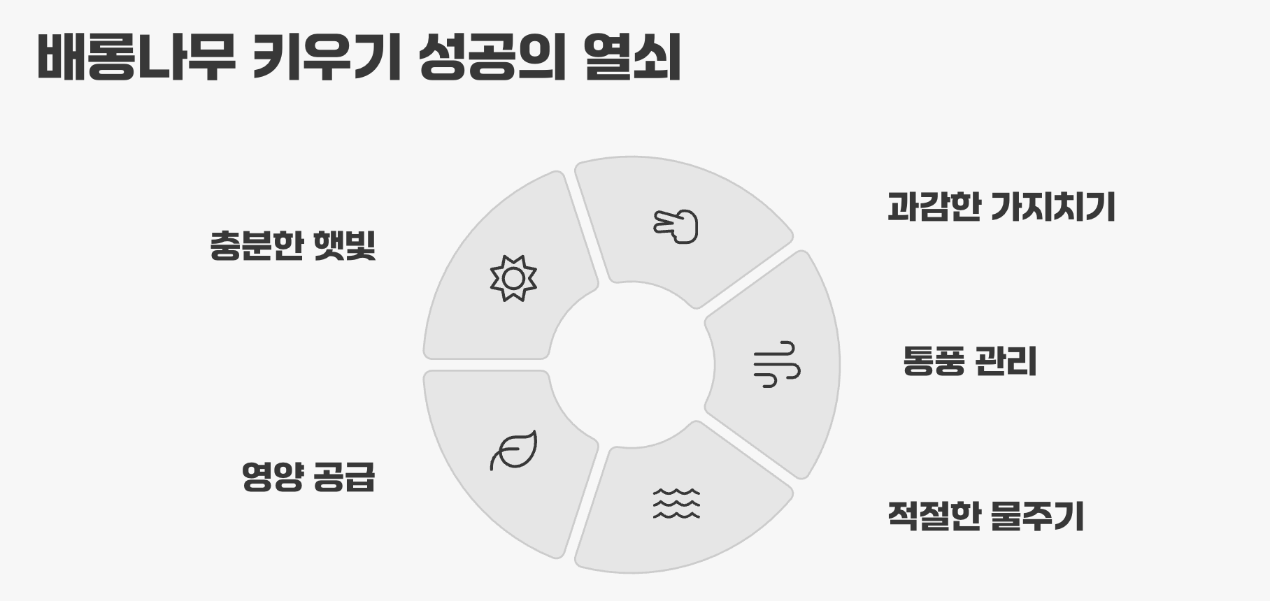 배롱나무 키우기 성공의 열쇠
