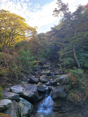 월악산 초입계곡