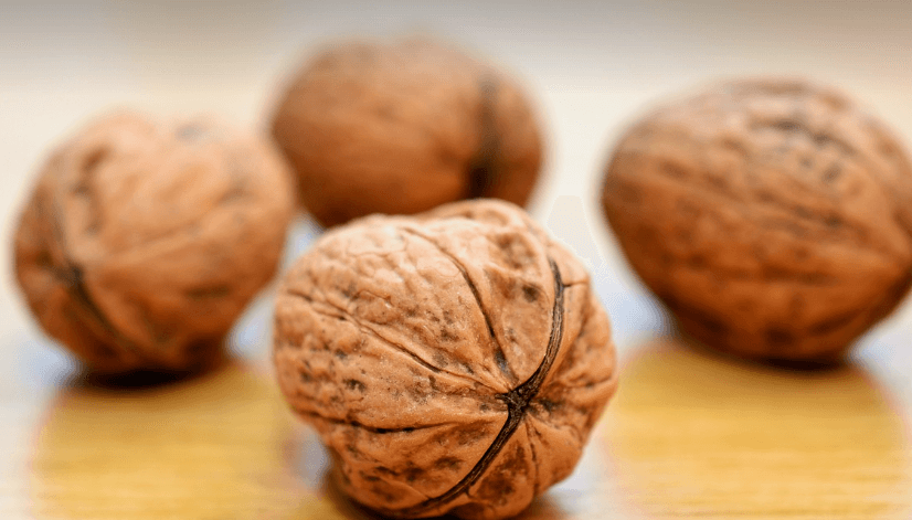 폐에 좋은 음식