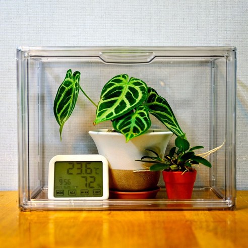 옥자연이 선택한 이케아 밀스보, 아파트에서 식물장 하나로 텃밭 자연주의 (+나혼산 리뷰)