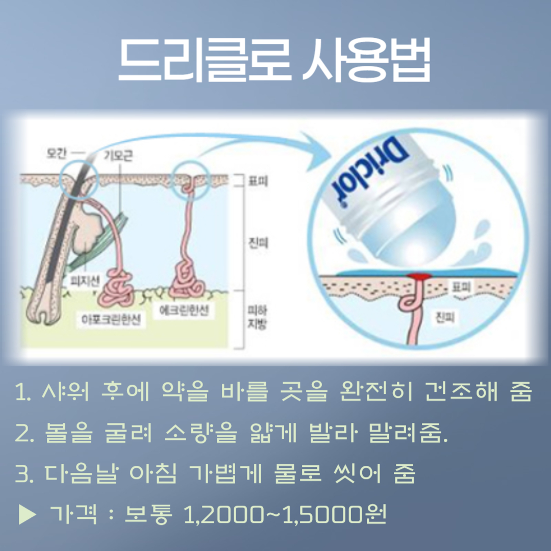 드리클로2