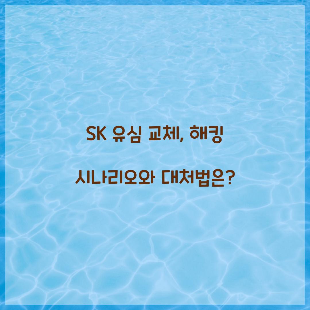SK 유심 교체