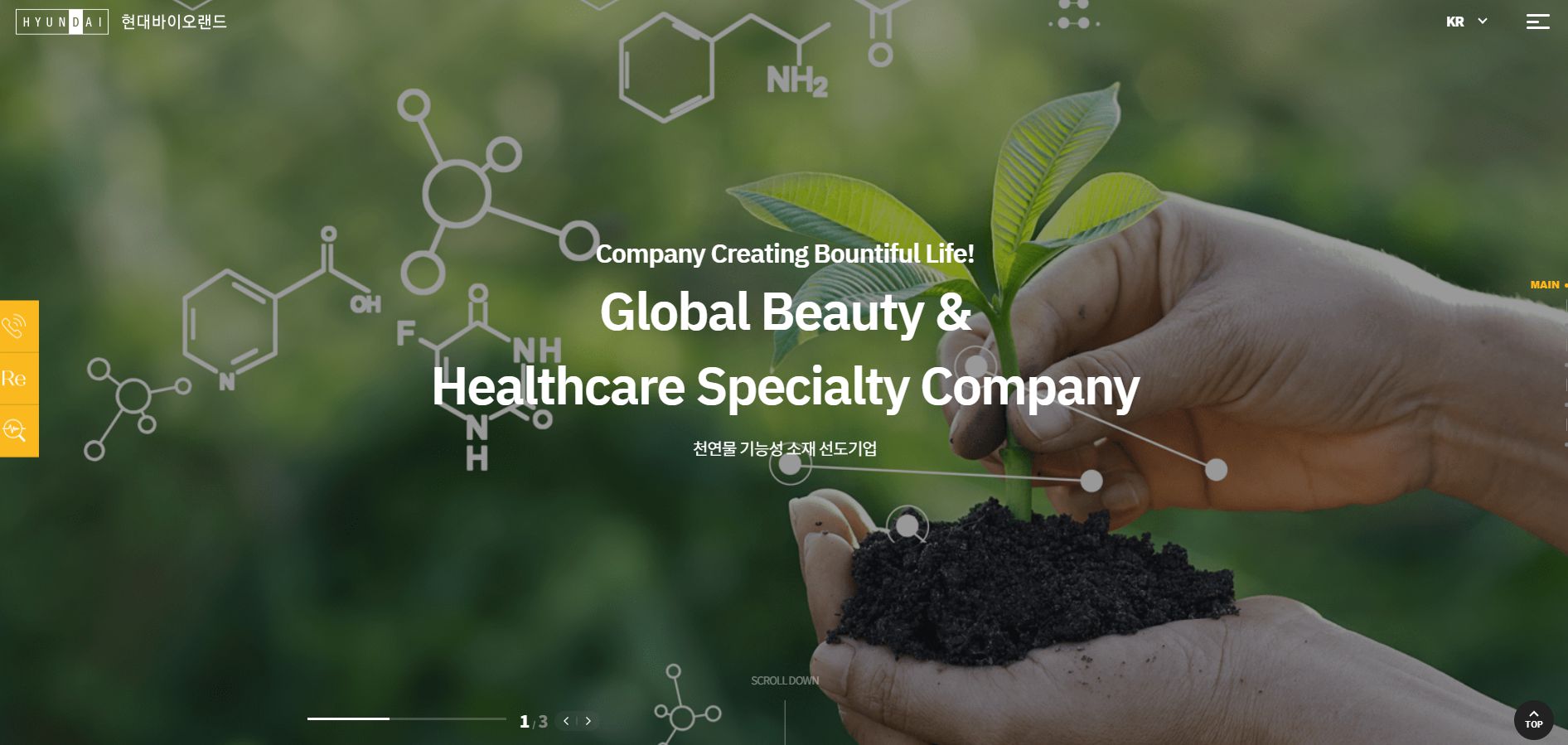 현대바이오랜드