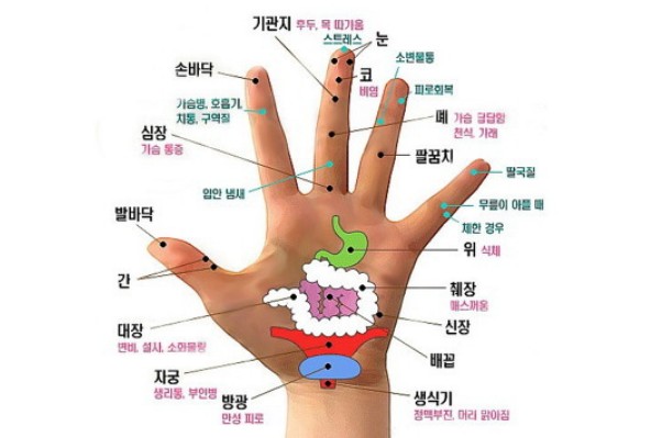 손바닥-지압점