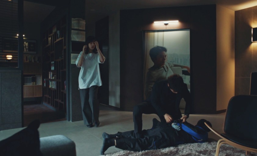 아다마스 스틸컷