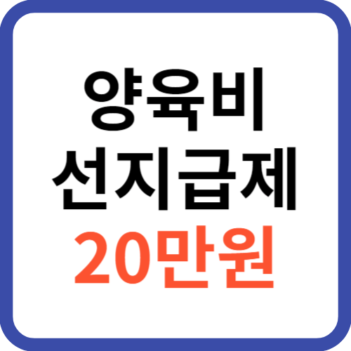 양육비 선지급제 20만원 도입