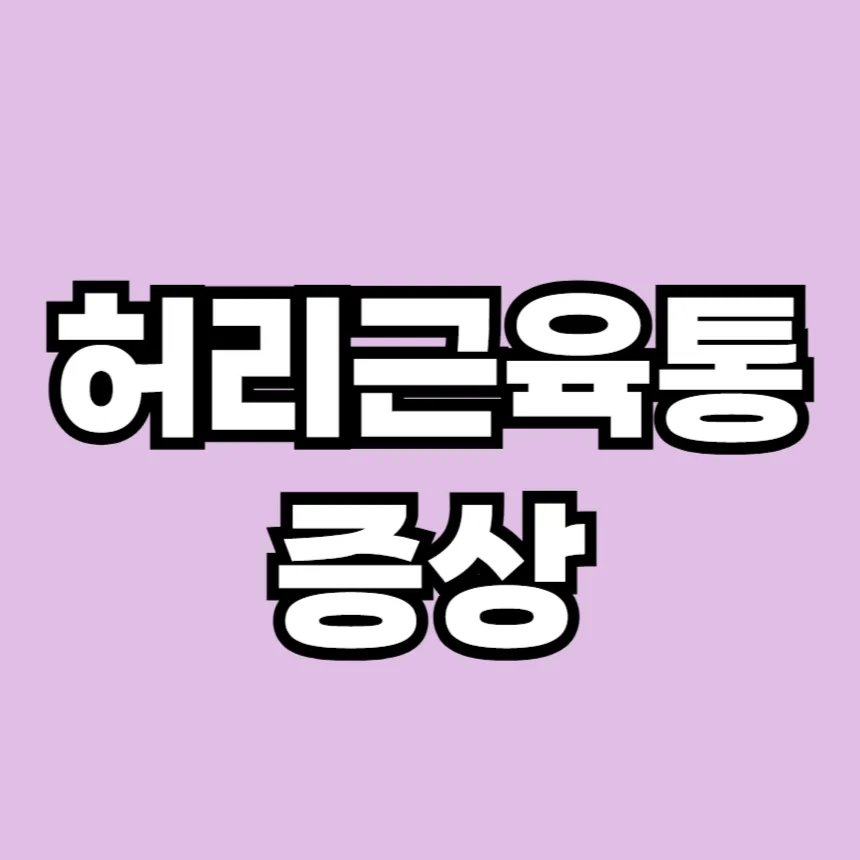 허리 근육통 증상