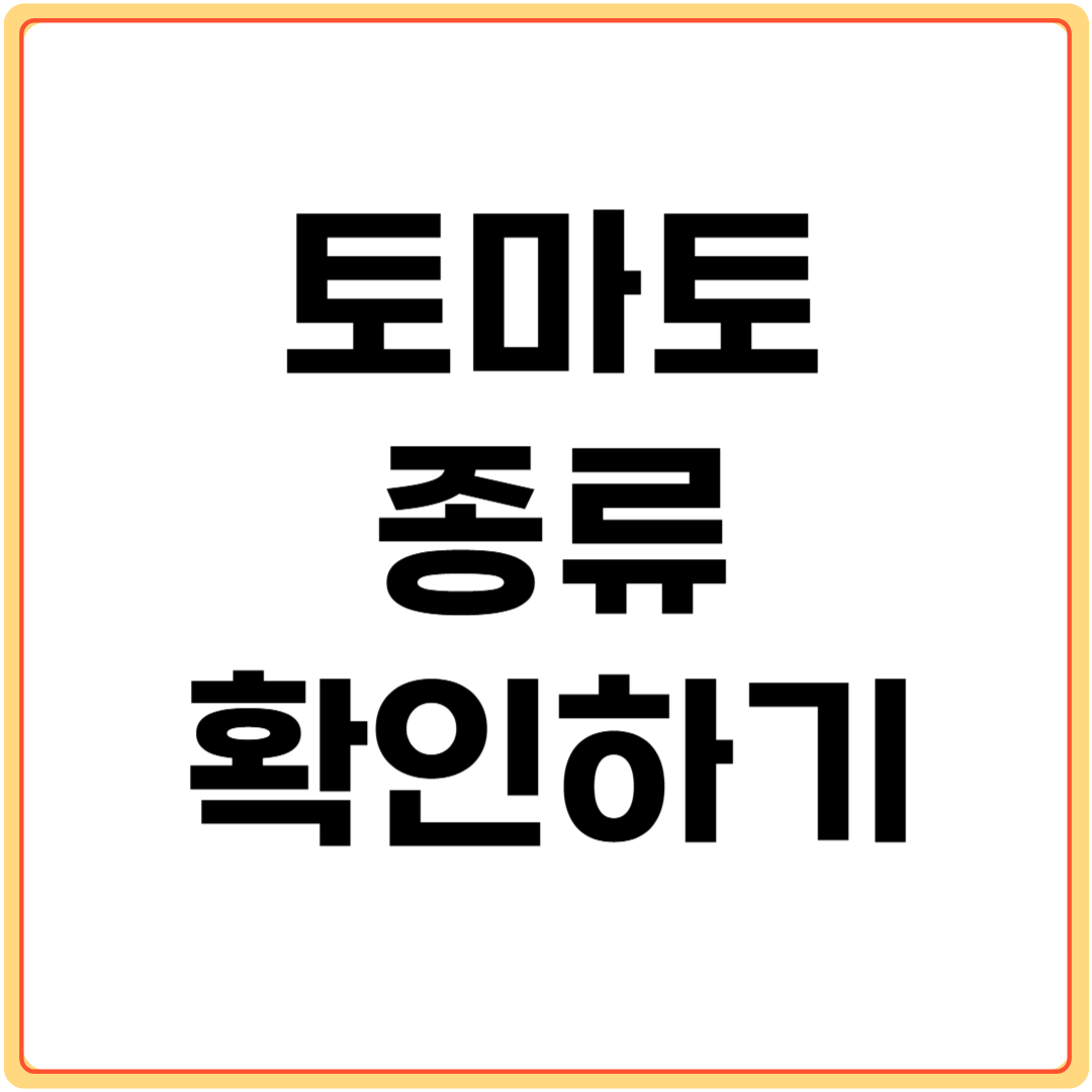 토마토-종류-확인하기