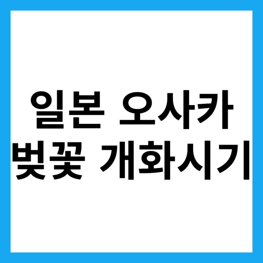 일본 오사카 벚꽃 개화시기