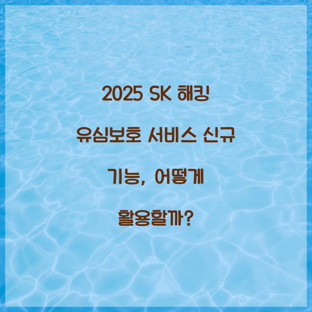 2025 SK 해킹 유심보호 서비스 신규 기능