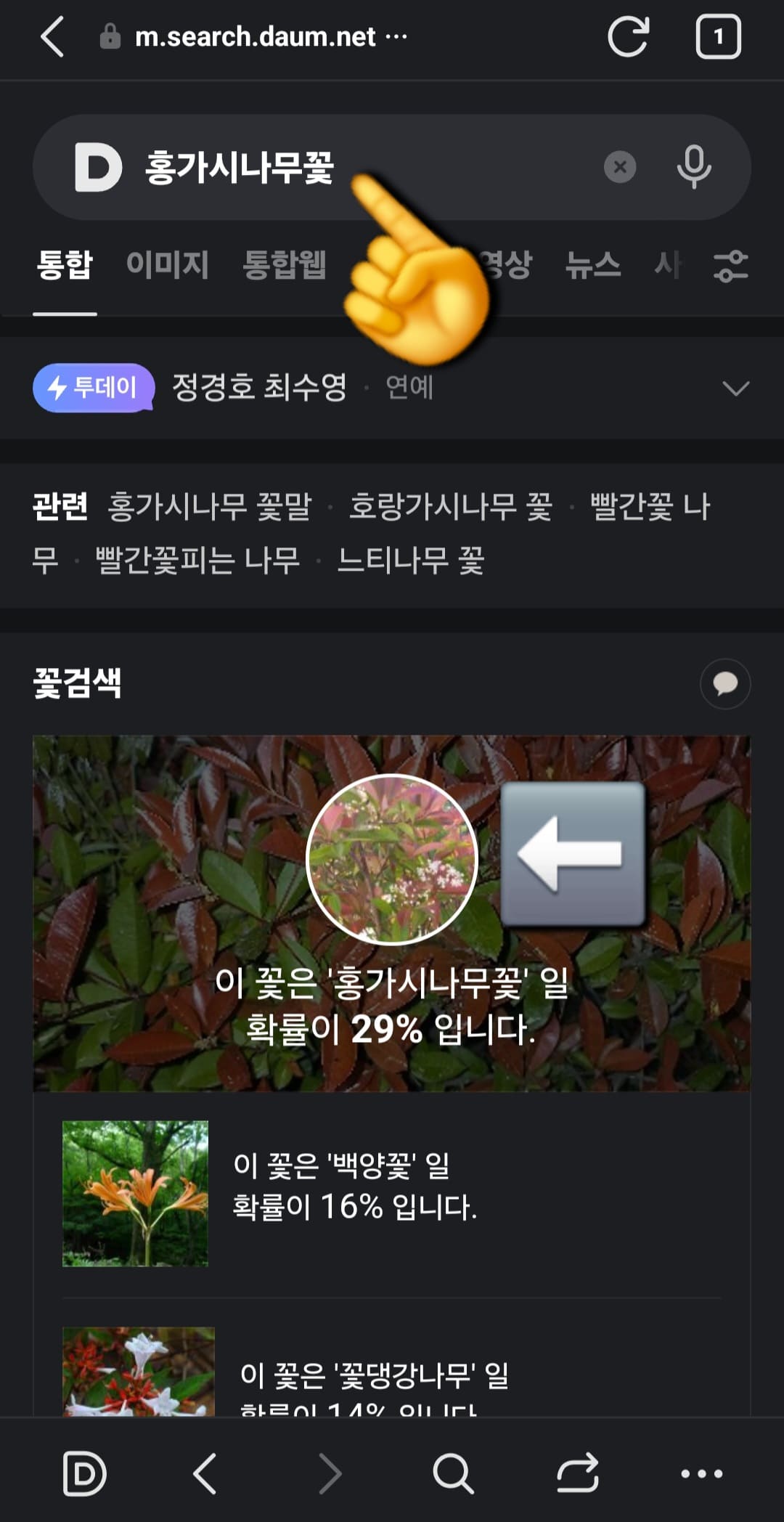 다음(Daum)-꽃검색-방법-안내-사진을-찍으면-자동으로-홍가시나무꽃-페이지로-이동하며&amp;#44;-이-꽃은-홍가시나무꽃일-확률이-29%입니다.라는-문구가-표시됩니다.-여기서-가운데에-보이는-홍가시나무꽃-이미지를-클릭해-보세요.