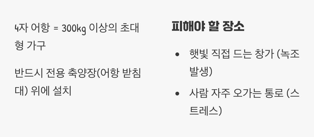 가장 중요한 첫걸음, 자리 잡기