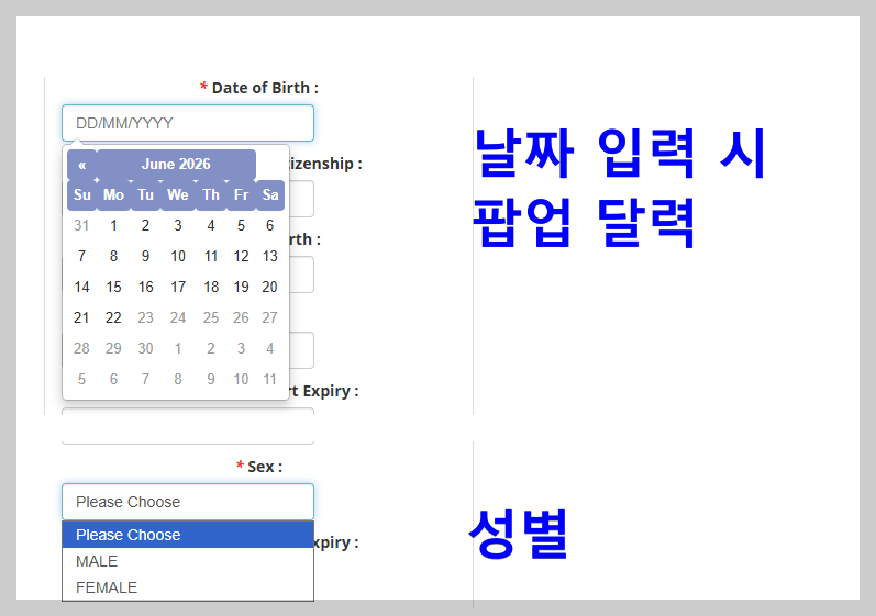 날짜 및 성별은 항목을 클릭하면 팝업이 뜬다.