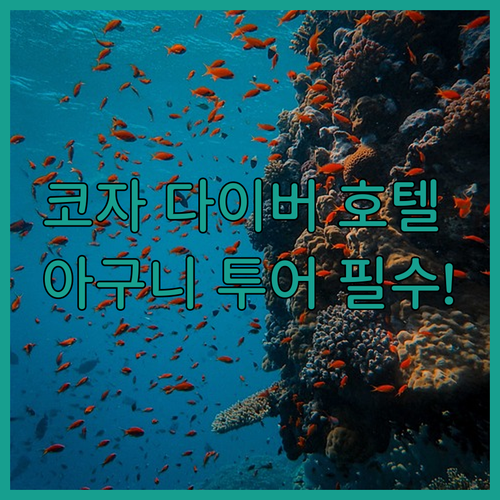 오키나와 시 코자 주변 다이버 추천 ..