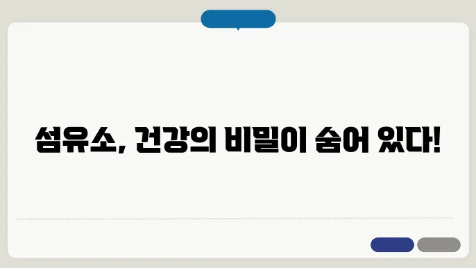 섬유소