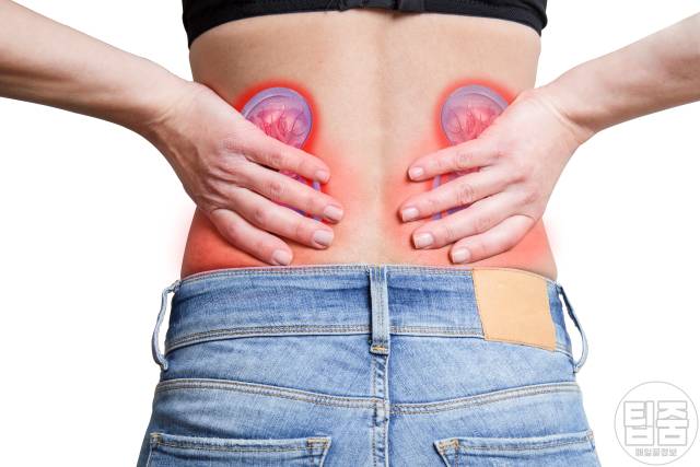 따듯한 물 6잔의 기적,따듯한 물 효능,신장