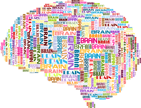 언어가 인간의 사고를 지배하는가, 아니면 표현의 도구인가