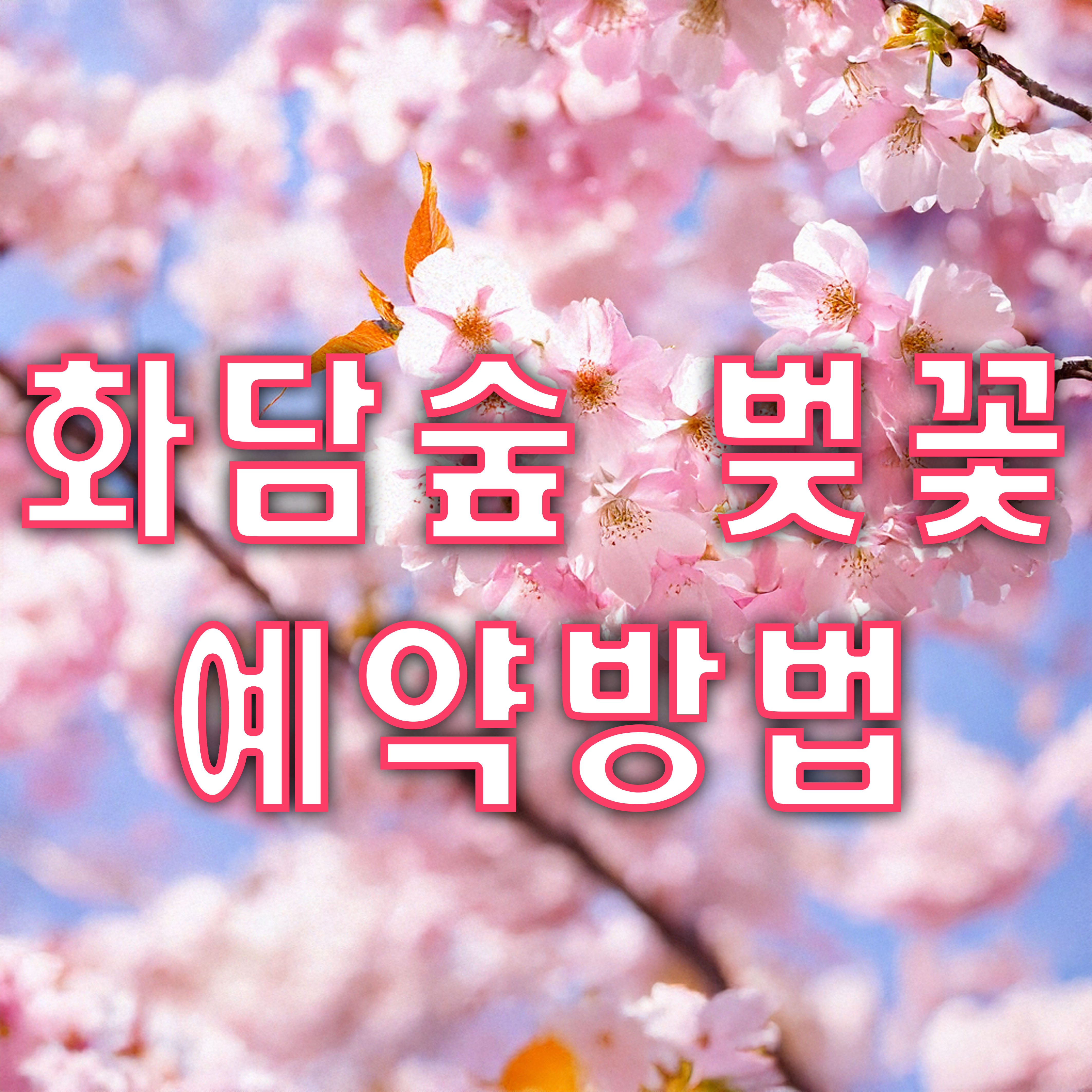 화담숲 예약방법 썸네일