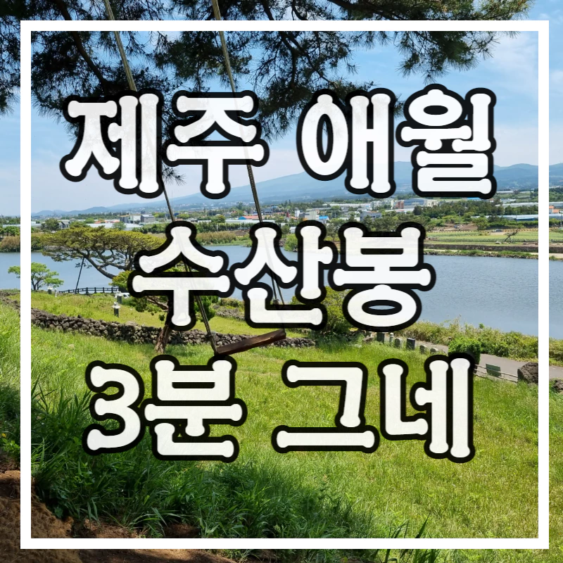하란하늘과 한라산과 저수지가 있다. 그 위에 소나무에 매달린 그네가 있다.