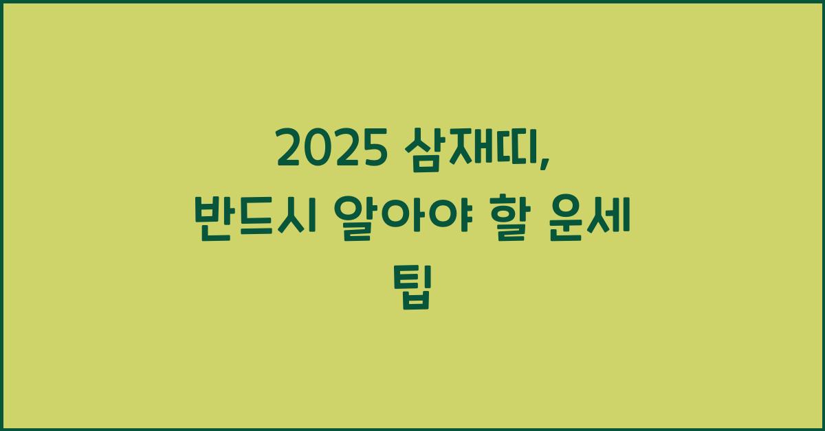 2025 삼재띠