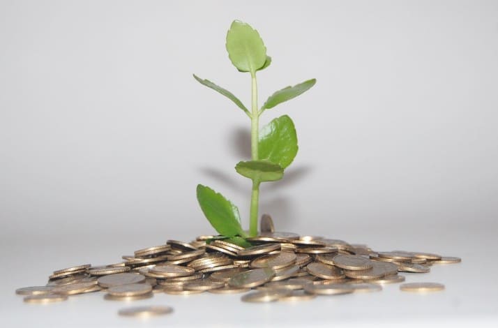Money, Coins, plant