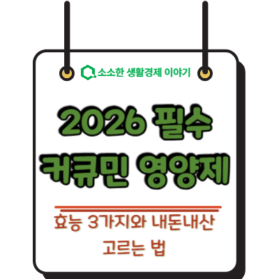 2026 필수 커큐민 영양제 효능 3가지와 내돈내산 고르는 법