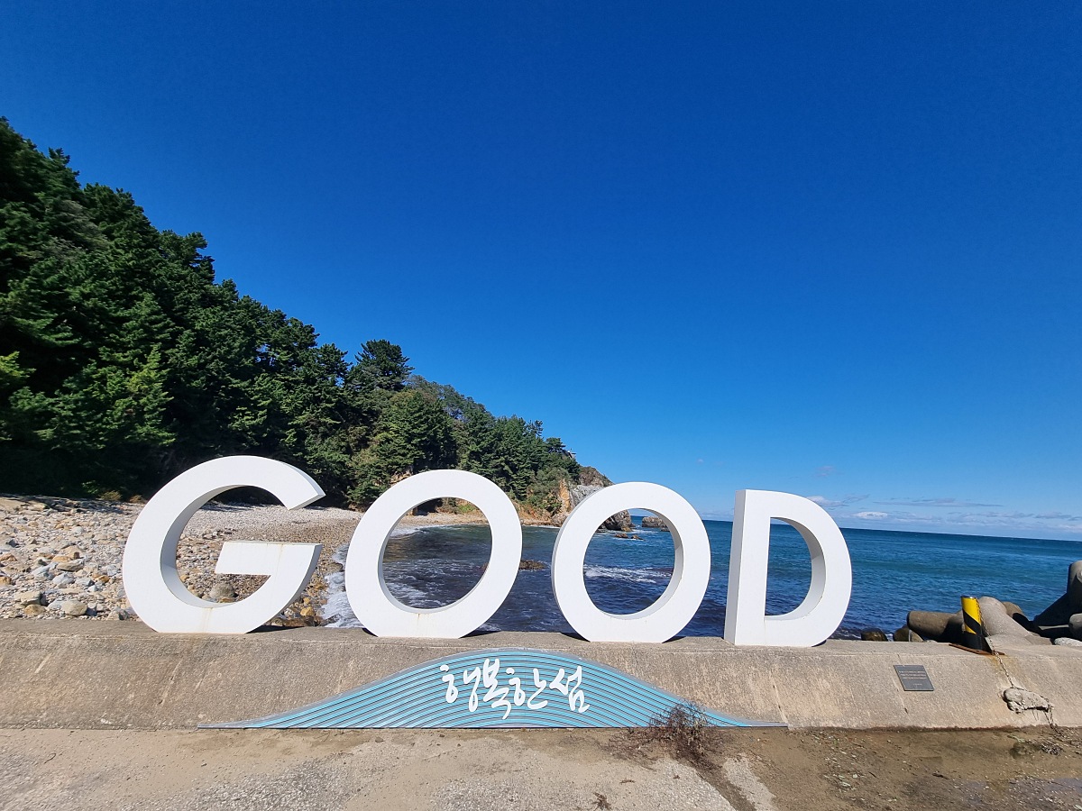 동해 가볼만한곳 천곡항 후기 ❘ 수상 레저와 감성돔 낚시, 작은 항구 매점