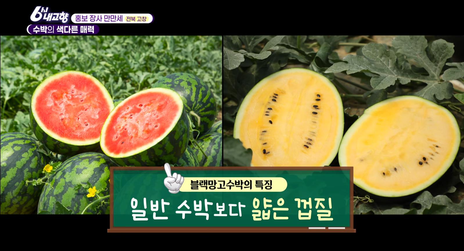 블랙망고수박 일반수박보다 얇은 껍질