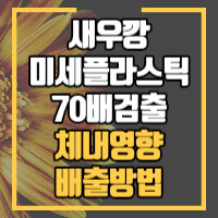 유명과자 미세플라스틱 과다검출 및 미세플라스틱 체내영향과 배출방법 안내 포스팅 썸네일