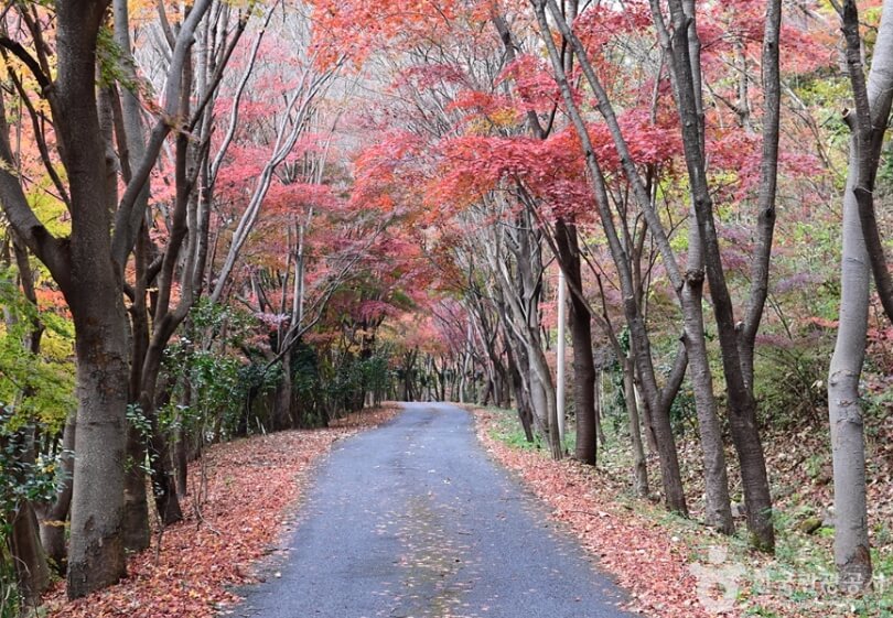 장흥 가볼만한곳 베스트 10