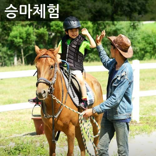 생방송투데이 대관령하늘목장 강원도 평창