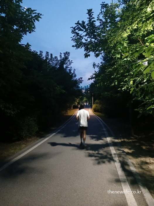 밤길 숲길에서 슬로우 조깅을 하며 건강을 관리하는 날씬한 사람의 뒷모습