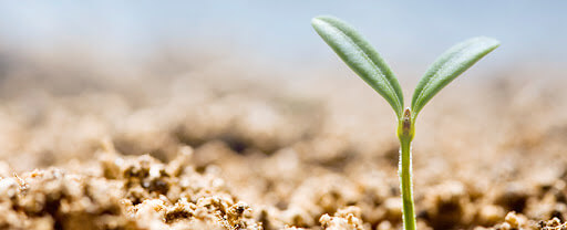 2025 최신 개인회생 부양가족 산정 기준