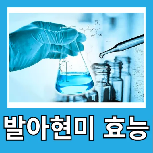 발아현미 효능