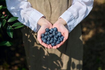농지연금 신청방법 가입조건 수령액 계산