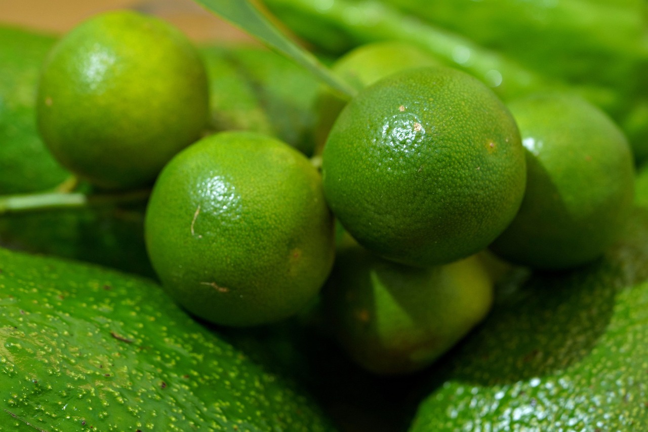 유즈코쇼 활용법 관련 사진