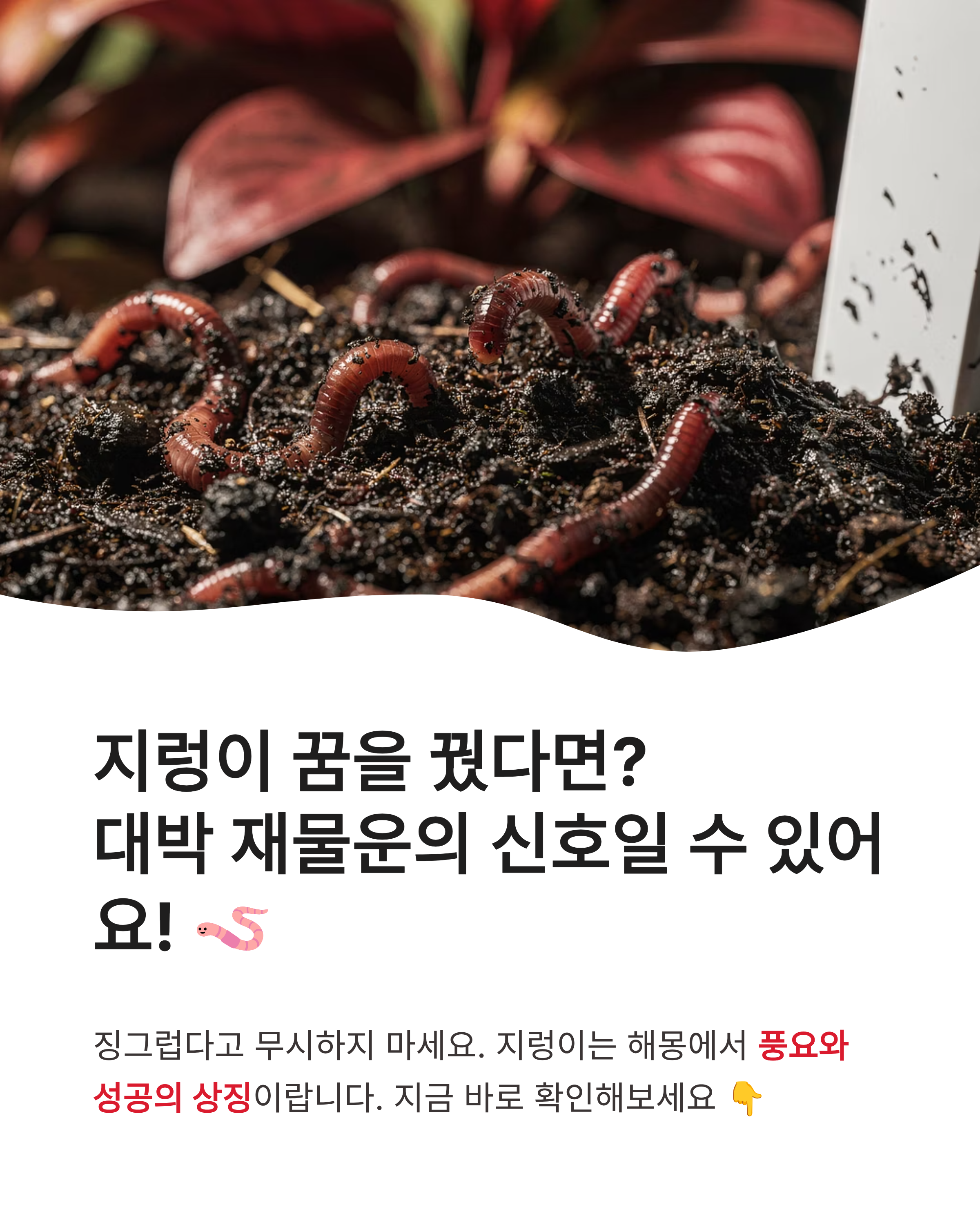 지렁이 꿈 해몽, 큰 지렁이 꿈, 태몽, 지렁이 먹는꿈, 몸에서 지렁이 나오는꿈 해몽