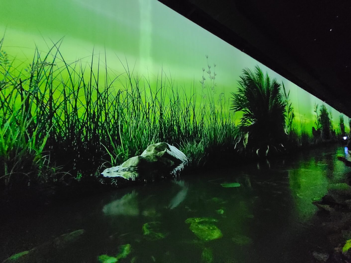 여수아르떼뮤지엄 미디어아트 정글 2