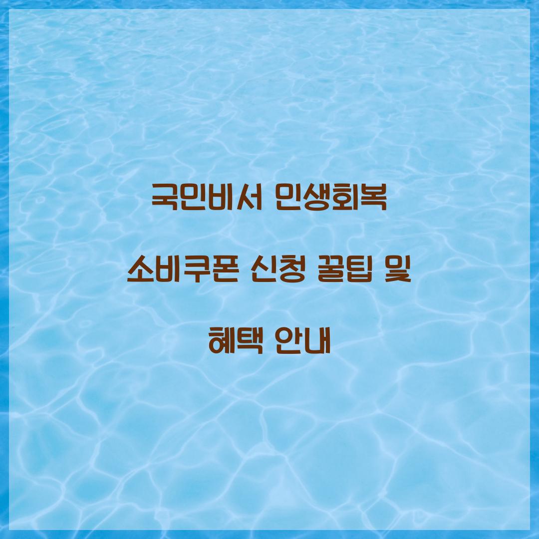 국민비서 민생회복 소비쿠폰