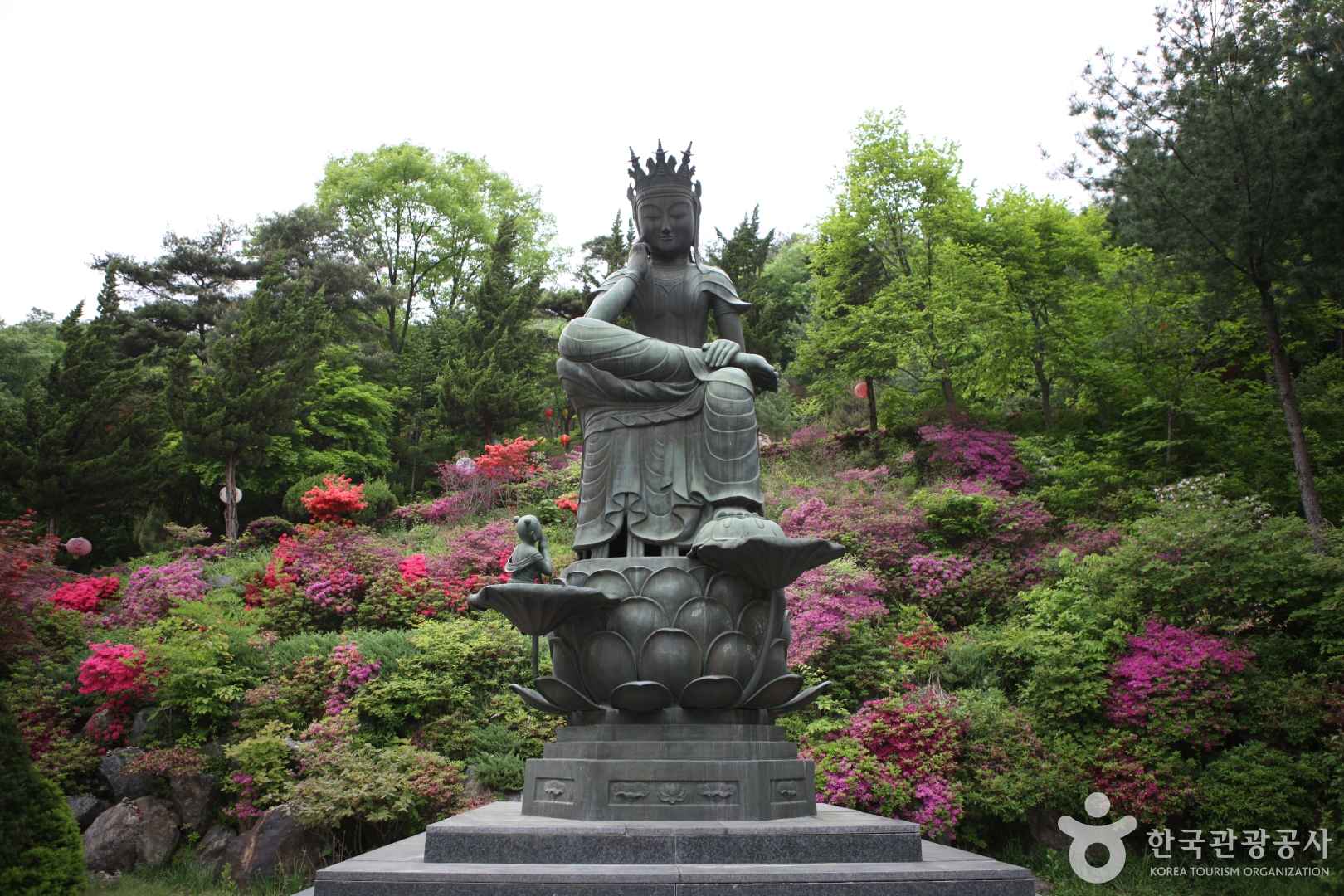 와우정사