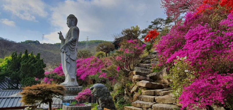 영평사3