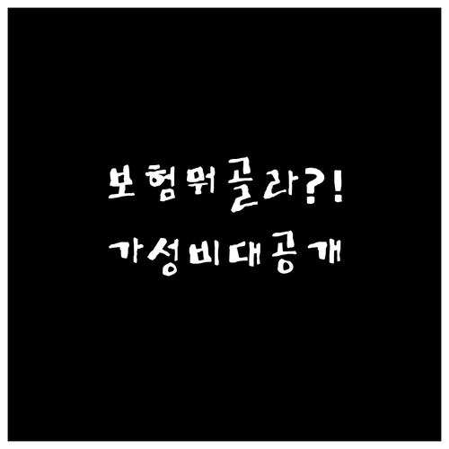 반려견 보험 가성비 조건표 연간 한도..