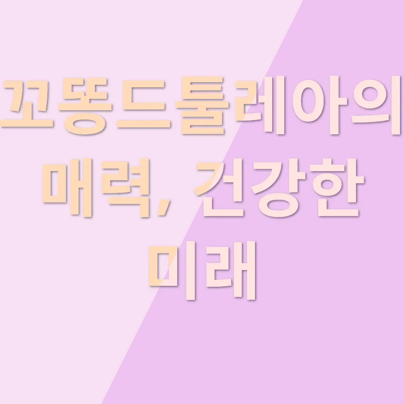 부산도꼬똥드툴레아분양_3