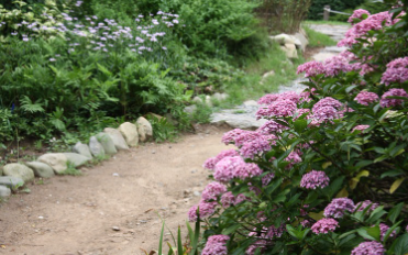 장생포 수국축제