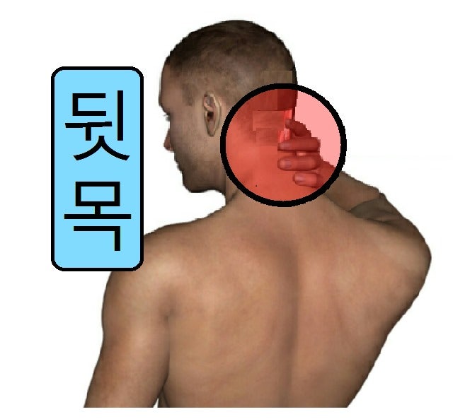뒷골이 땡기는 이유